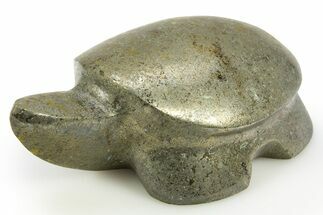 Lustrous Chalcopyrite Turtle - Arizona #311915