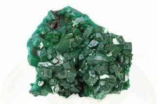 Lustrous Dioptase Crystal Epimorph - Republic of the Congo #312410