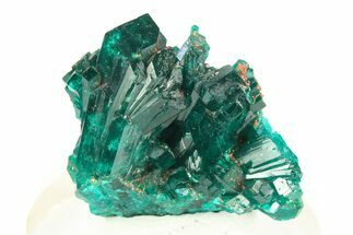 Gemmy Dioptase Crystal Cluster - Republic of the Congo #312414