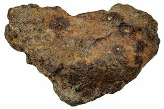 Whitecourt Iron Meteorite ( g) - Alberta, Canada #312850