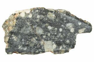 Polished Lunar Meteorite ( g) Section - NWA #312859