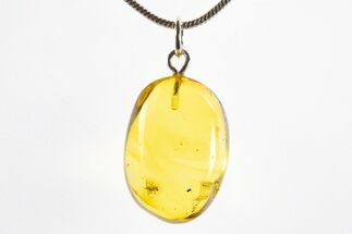 Polished Baltic Amber Pendant (Necklace) - Contains Fly! #312193