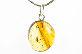 Polished Baltic Amber Pendant (Necklace) - Contains Flies! #312214