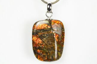 Brilliant Ammolite Pendant (Necklace) - Alberta, Canada #312469