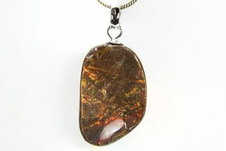 Brilliant Ammolite Pendant (Necklace) - Alberta, Canada #312471