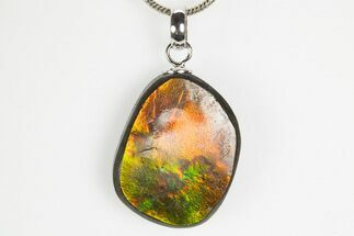 Brilliant Ammolite Pendant (Necklace) - Alberta, Canada #312472