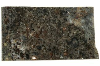 Lunar Meteorite Slice ( g) - NWA #312869