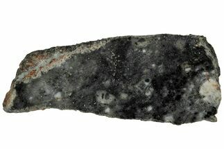 Lunar Meteorite Slice ( g) - Bechar #313005