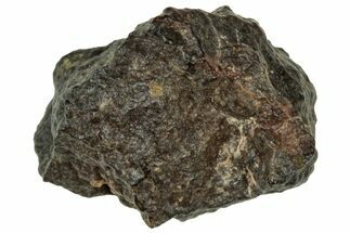 Abadla CM Chondrite Meteorite ( g) - Algeria #313040