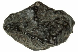 Abadla CM Chondrite Meteorite ( g) - Algeria #313047