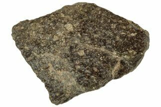 Abadla CM Chondrite Meteorite ( g) - Algeria #313062