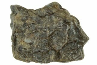Lunar Meteorite ( g) - Laayoune #313128
