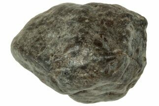Lunar Meteorite ( g) - Laayoune #313129