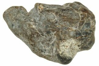 Lunar Meteorite ( g) - Laayoune #313130