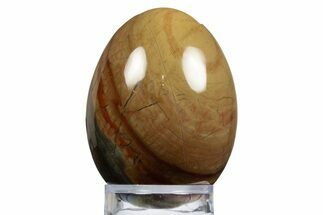 Polished Mahogany Jasper Egg - Australia #312722