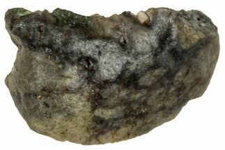 Polished Lunar Meteorite ( g) Fragment - NWA #313178