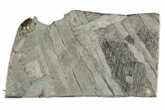 Etched Seymchan Meteorite Slice ( g) - Russia #313197