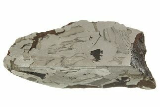 Etched Seymchan Meteorite Section ( g) - Russia #313242