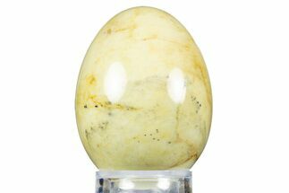 Polished Tremolite Jade Egg - Australia #312673