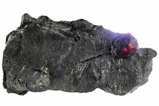 Red Embers Garnet in Graphite - Massachusetts #313539