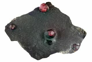 Plate of Five Red Embers Garnets in Graphite - Massachusetts #313544