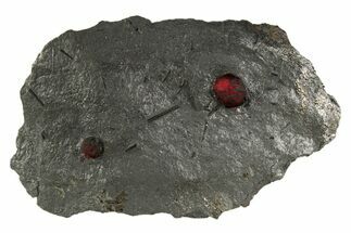 Plate of Two Red Embers Garnets in Graphite - Massachusetts #313655