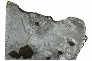 Iron Meteorites For Sale