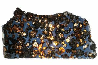 Polished Sericho Pallasite Meteorite ( g) Slice - Kenya #313712