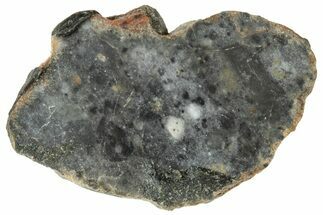 Lunar Meteorite ( g) Slice - Bechar #313818