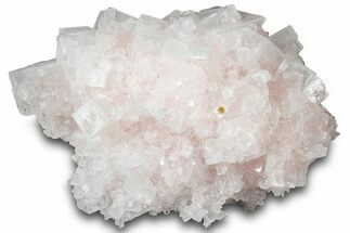 Pink Halite Crystal Cluster - Trona, California #314158