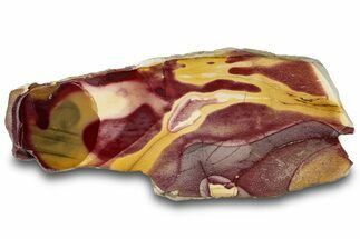 Vibrant Polished Mookaite Jasper Section - Australia #314292