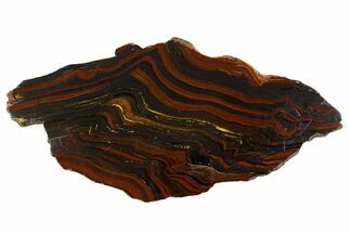 Polished Tiger Iron Stromatolite Slab - Billion Years #314306