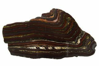 Polished Tiger Iron Stromatolite Slice - Billion Years #314315