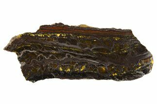 Polished Tiger Iron Stromatolite Slice - Billion Years #314320