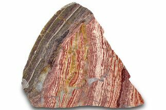 Free-Standing, Polished Snakeskin Jasper - Australia #314374