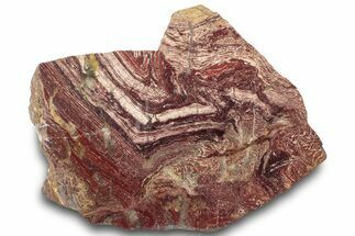 Polished Snakeskin Jasper Slab - Western Australia #314375