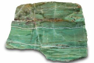 Polished Green Magneprase Slab - Western Australia #314386