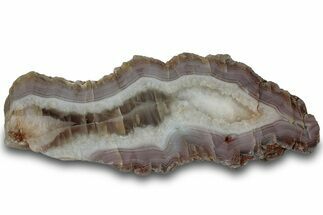 Polished Pilbara Agate Section - Oldest Known Agate #314404