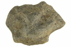 Lunar Meteorites - NWA 11273 For Sale - FossilEra.com