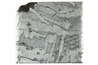 Etched Seymchan Meteorite Slice ( g) - Russia #313259