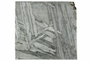 Seymchan Pallasites For Sale