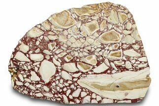 Polished, Brecciated Mookaite Slab - Western Australia #314450