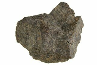 Carbonaceous Chondrite Meteorite ( g) - NWA #313690