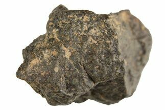 Carbonaceous Chondrite Meteorite ( g) - NWA #313691