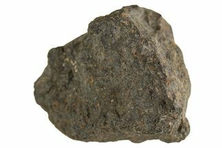 Carbonaceous Chondrite Meteorite ( g) - NWA #313693