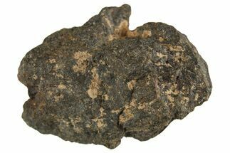 Carbonaceous Chondrite Meteorite ( g) - NWA #313718