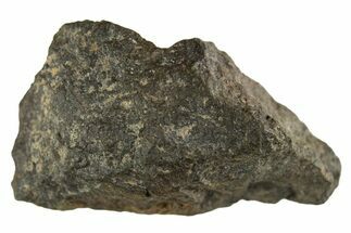 Carbonaceous Chondrite Meteorite ( g) - NWA #313719