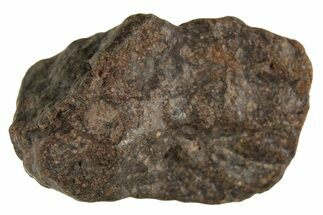 Carbonaceous Chondrite Meteorite ( g) - NWA #313721