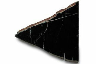 Polished Black Jade (Actinolite) Section - Western Australia #314590