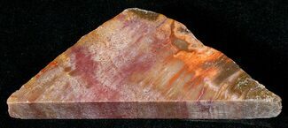 Red Araucaria Petrified Wood Slab #17122